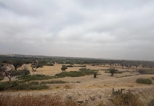 Marrakech