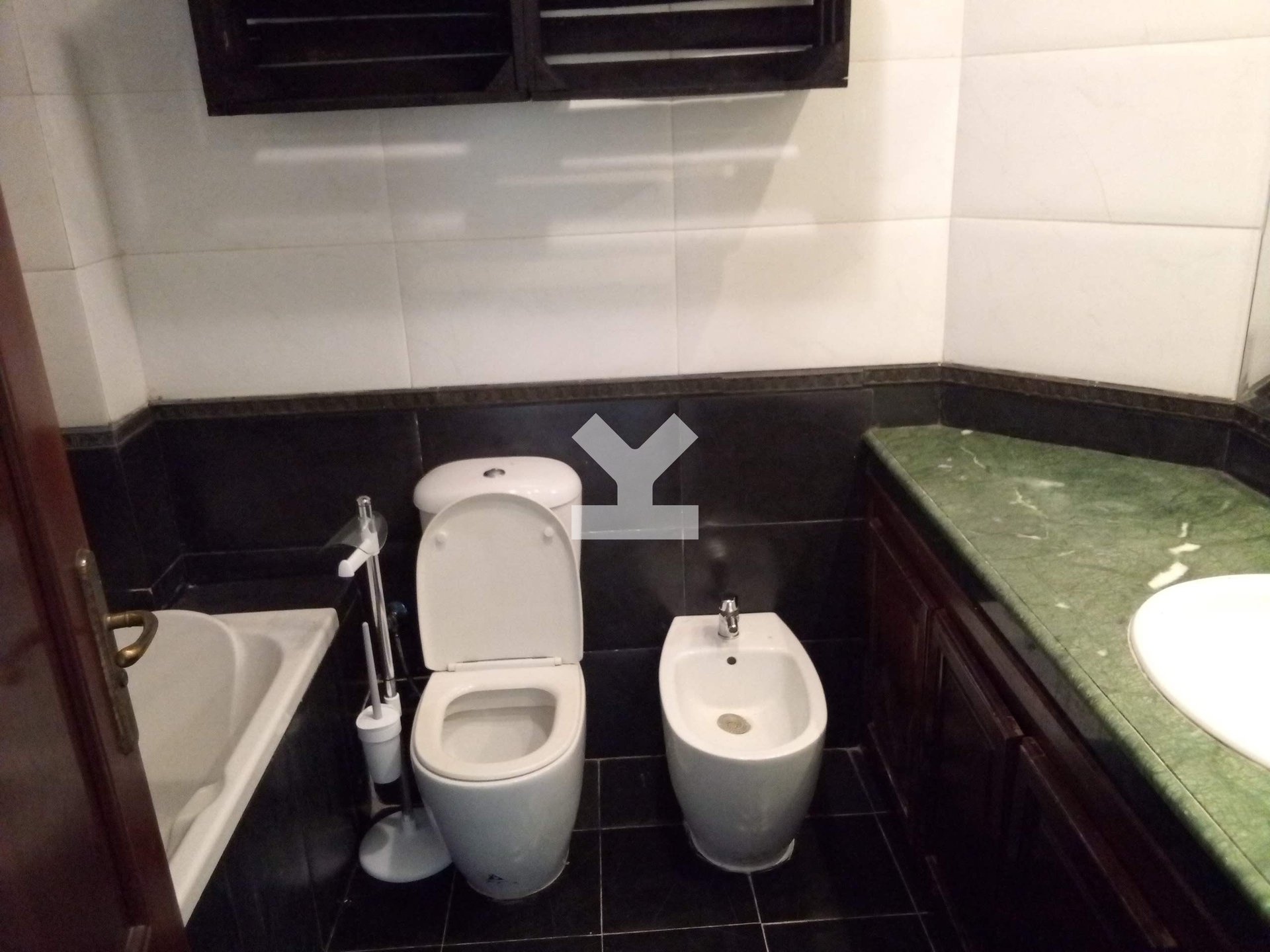 /ci006205/image_882720408.jpeg