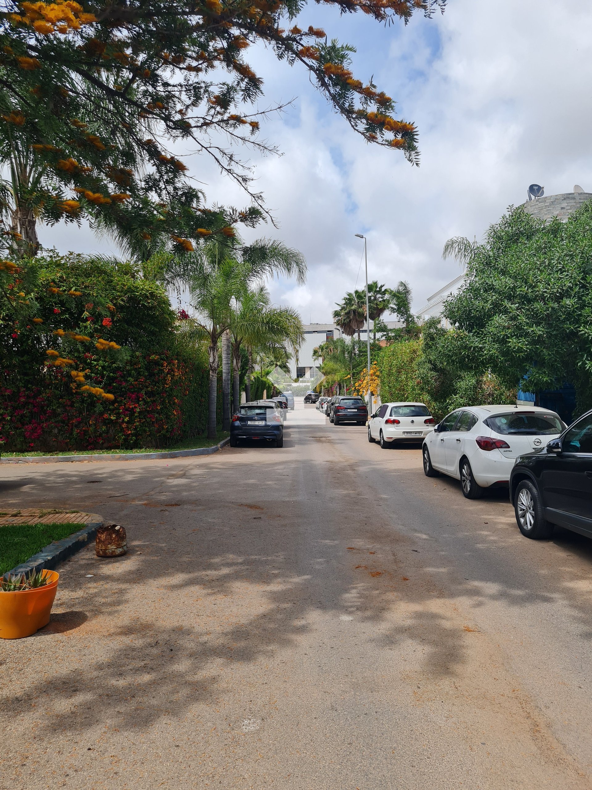 /ci006359/image_614274865.jpg