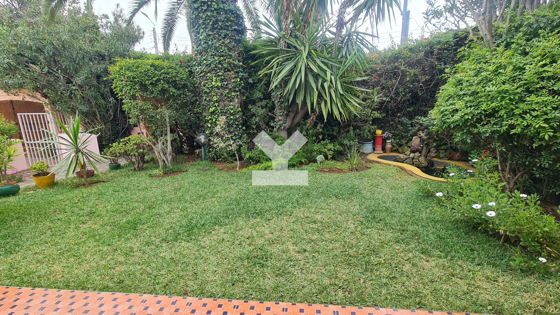/ci045561/image_367659698.jpg