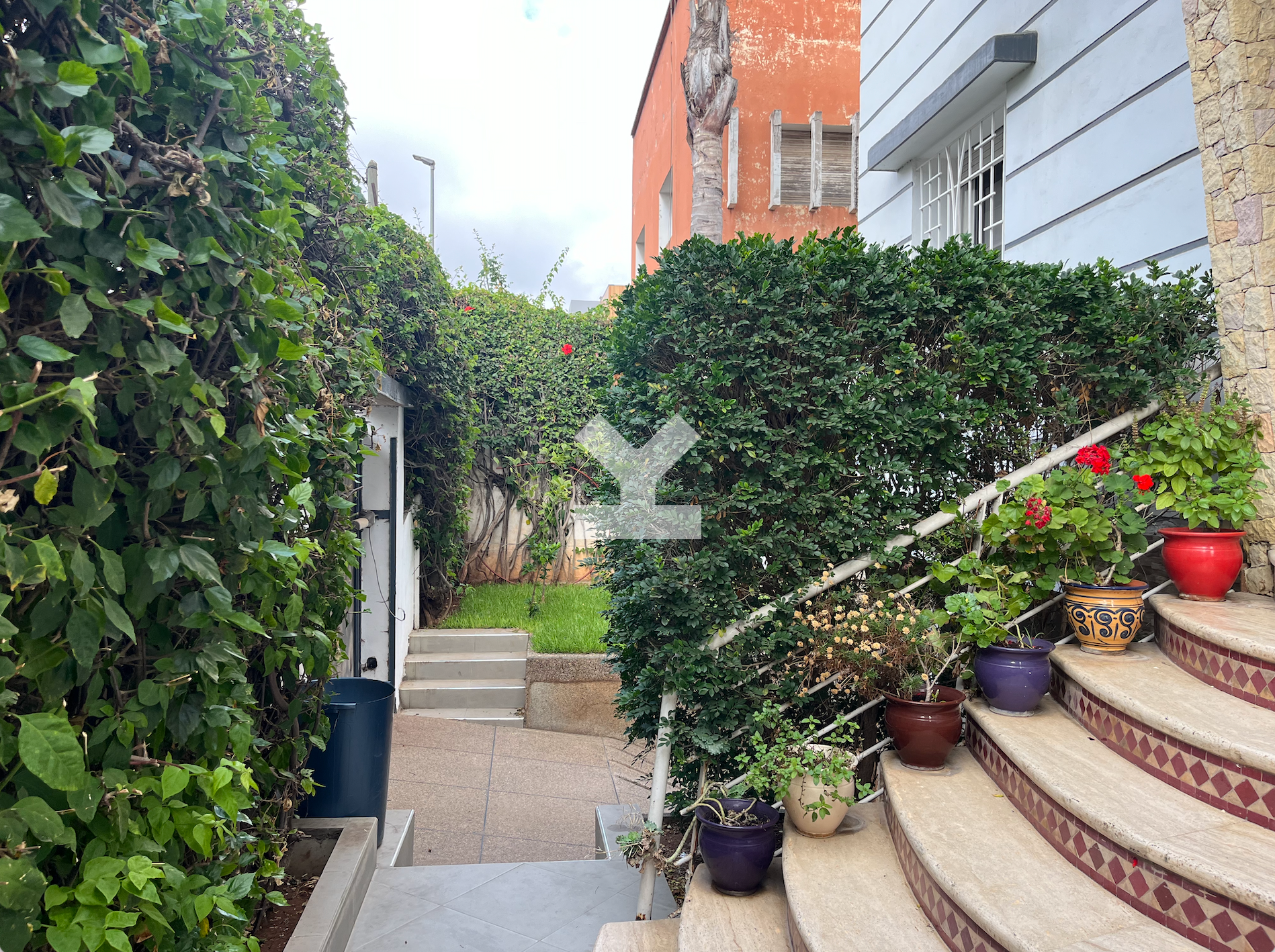/ci057575/image_509803810.png