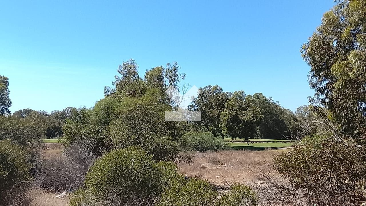 /ci127590/image_713861200.jpg