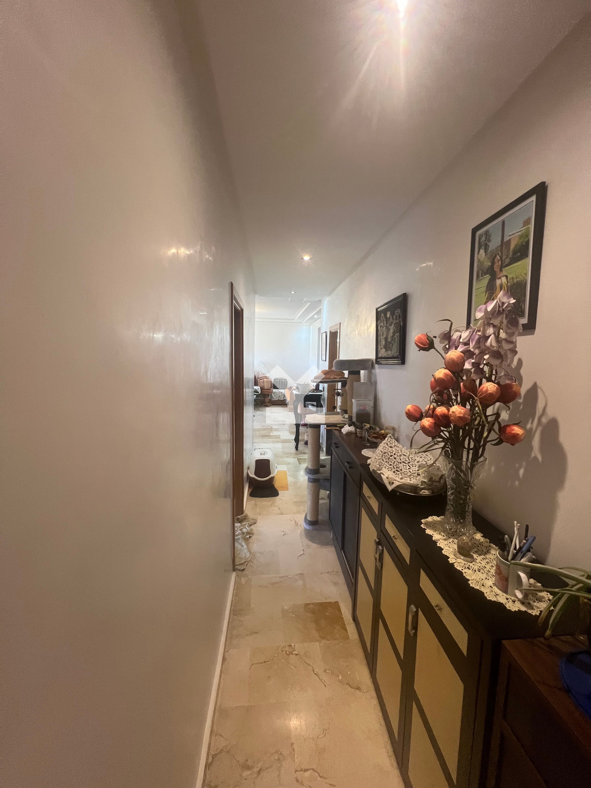 /ci137585/image_201953722.jpeg