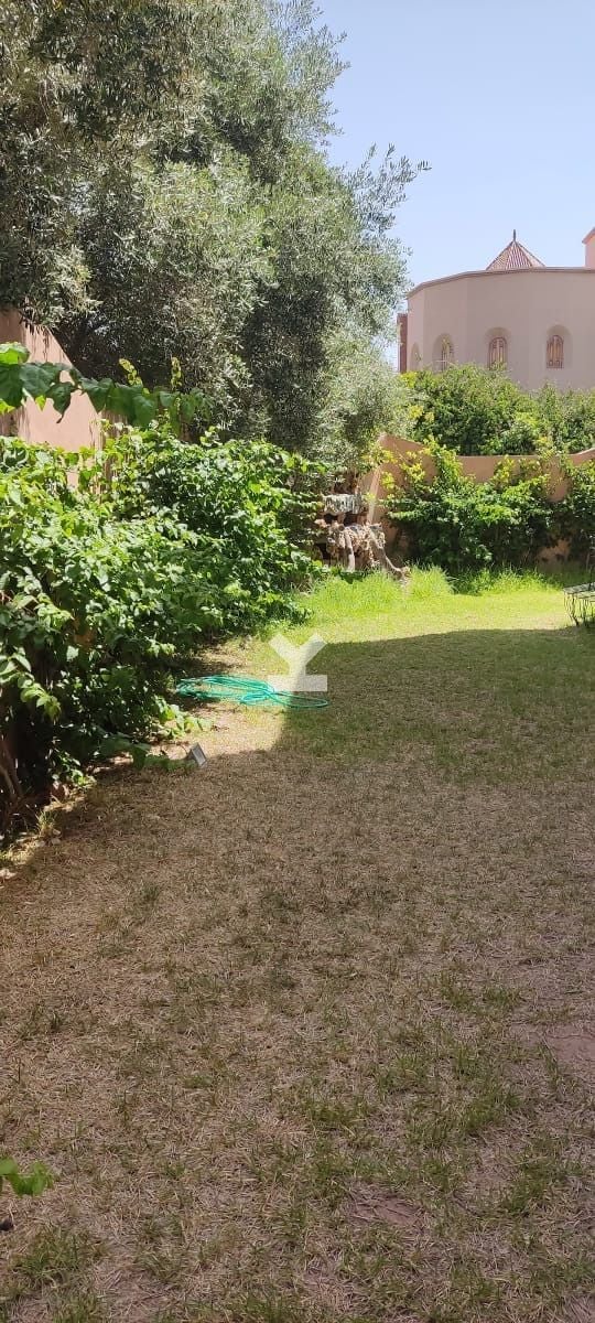 /ci154222/image_643674032.jpeg