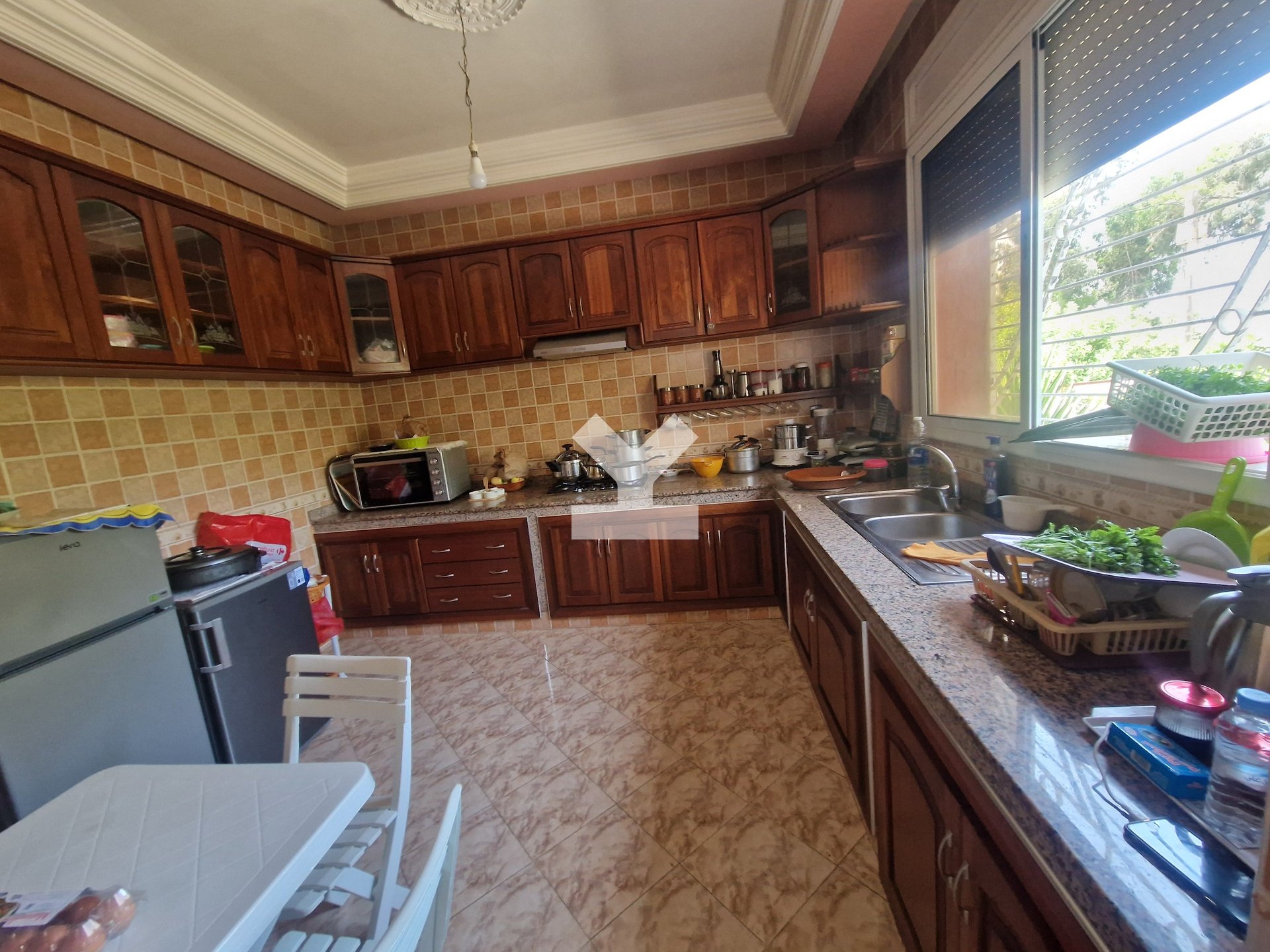 /di126387/image_694128163.jpg