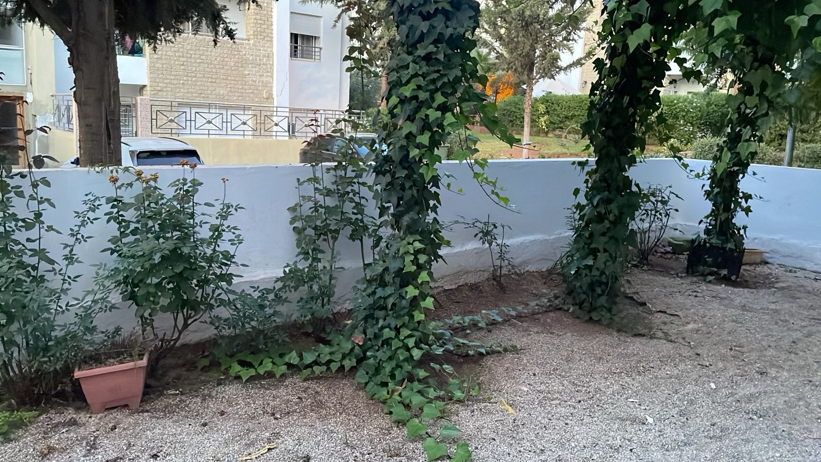 /fa159268/image_18898100.jfif