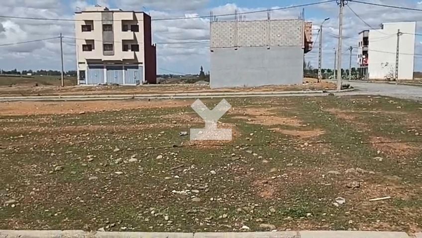 /ki143070/image_208908115.jpg