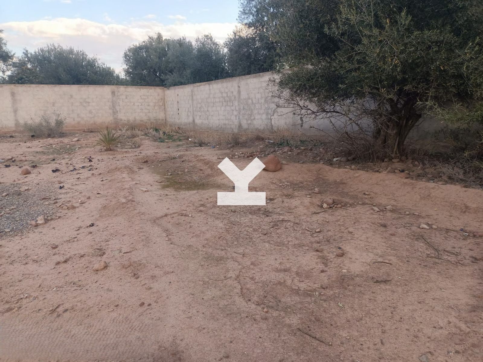 /mi115916/image_567492144.jpg