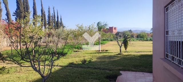 /mi117401/image_134452276.jpg