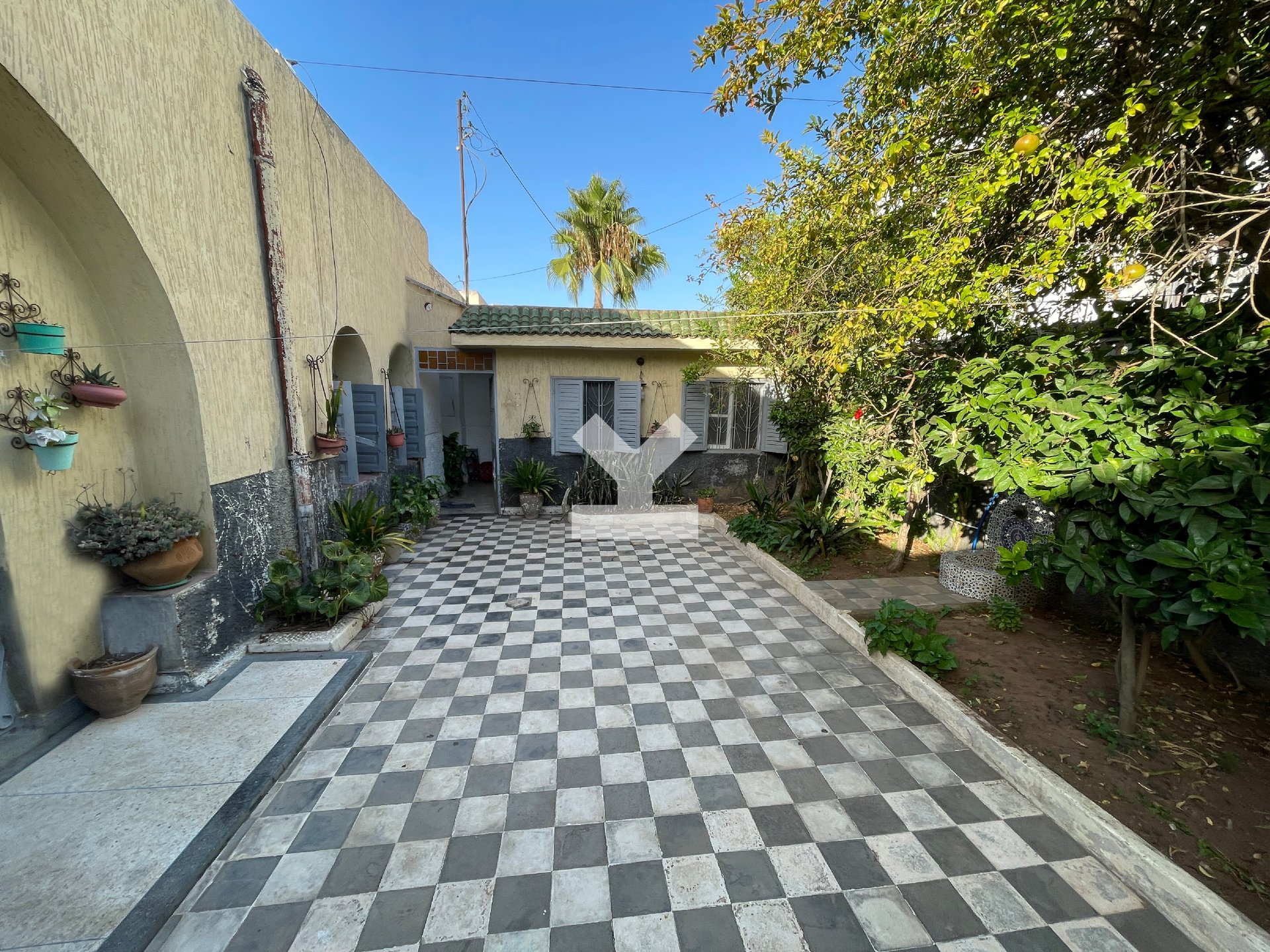 /ri126656/image_17447247.png