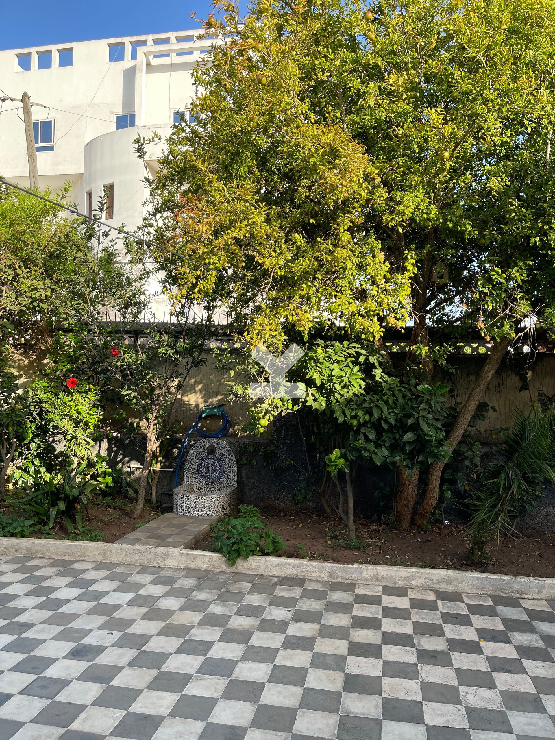/ri126656/image_754294488.JPG