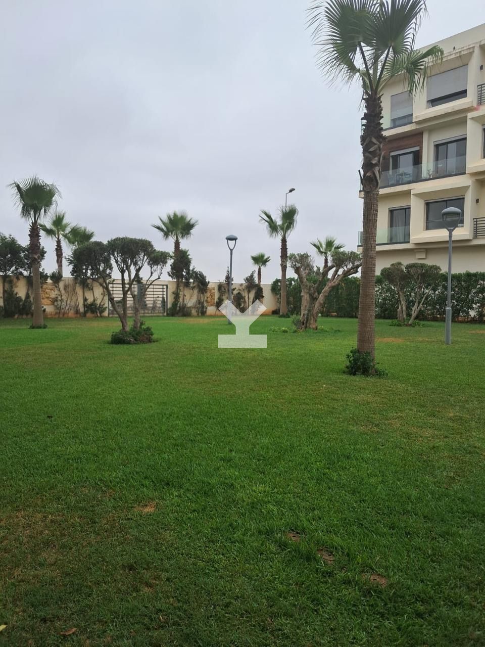 /ti119434/image_301906347.jpeg