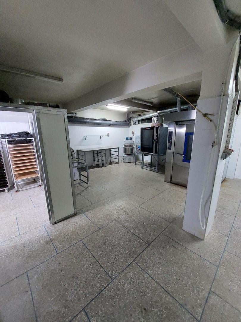 /ti171608/image_77896854.jfif