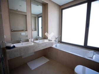 user-PA000386-image