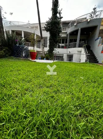 user-BI072809-image