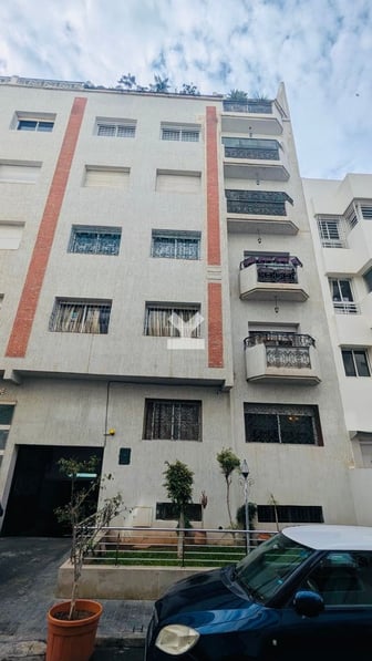 user-CA089176-image