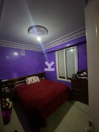 user-CA066537-image