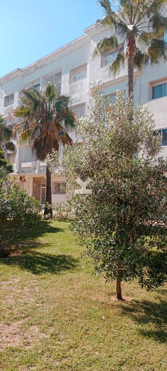 user-CA088318-image