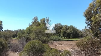 user-CI127565-image