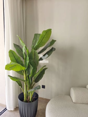 user-CS119393-image
