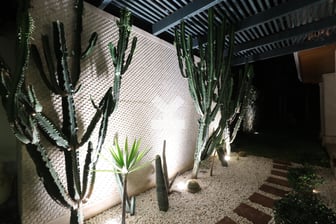 user-DI090923-image