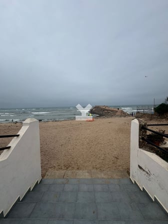 user-MA066647-image