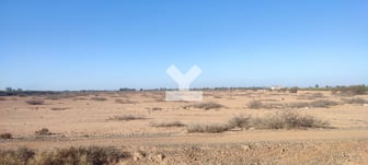user-AI077094-image