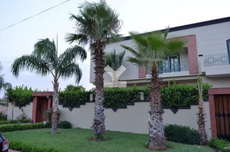 user-MI077984-image