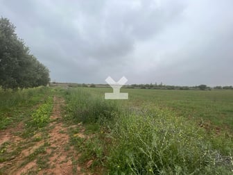 user-MI101040-image