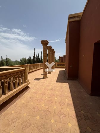 user-MI116554-image