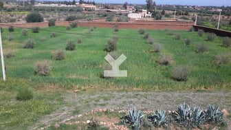 user-AI117234-image