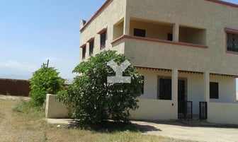 user-AI117234-image