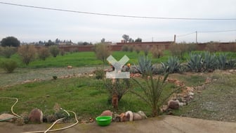 user-AI117234-image
