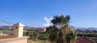 user-MI117401-image