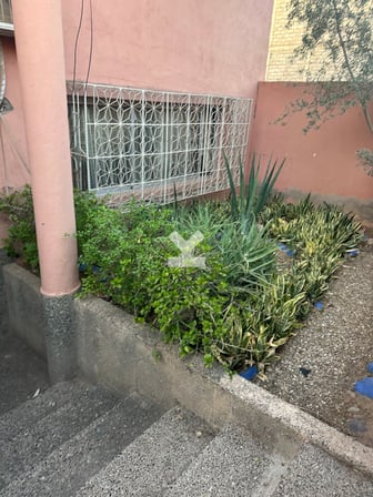 user-MI153437-image