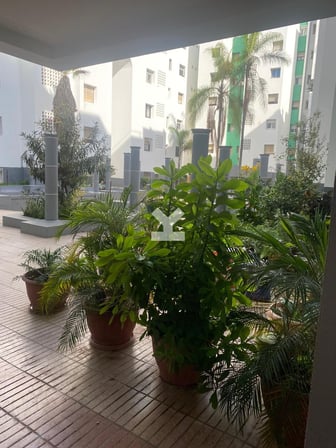 user-RA154164-image