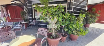 user-SI135343-image