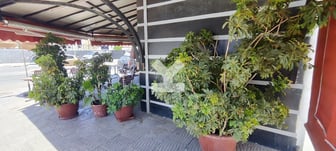 user-SI135343-image