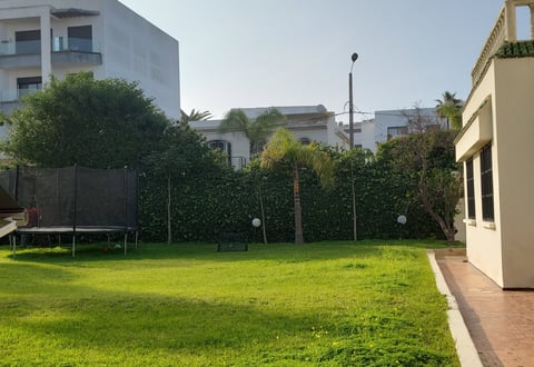 Oasis
