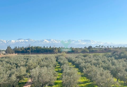 Route De L'Ourika (Tassoultante)