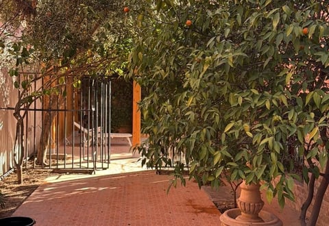 Massira 2
