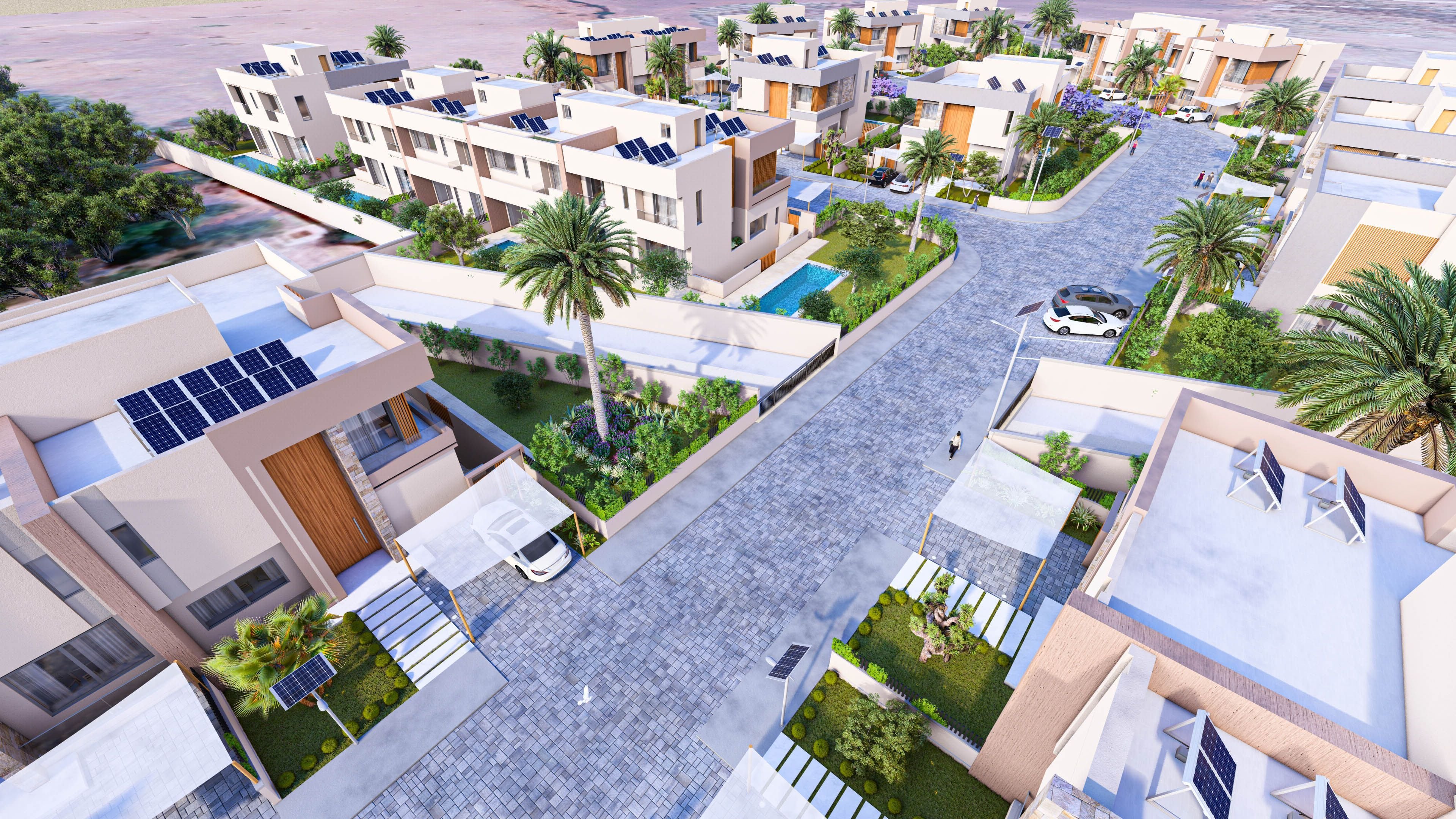Palm Beach — 7