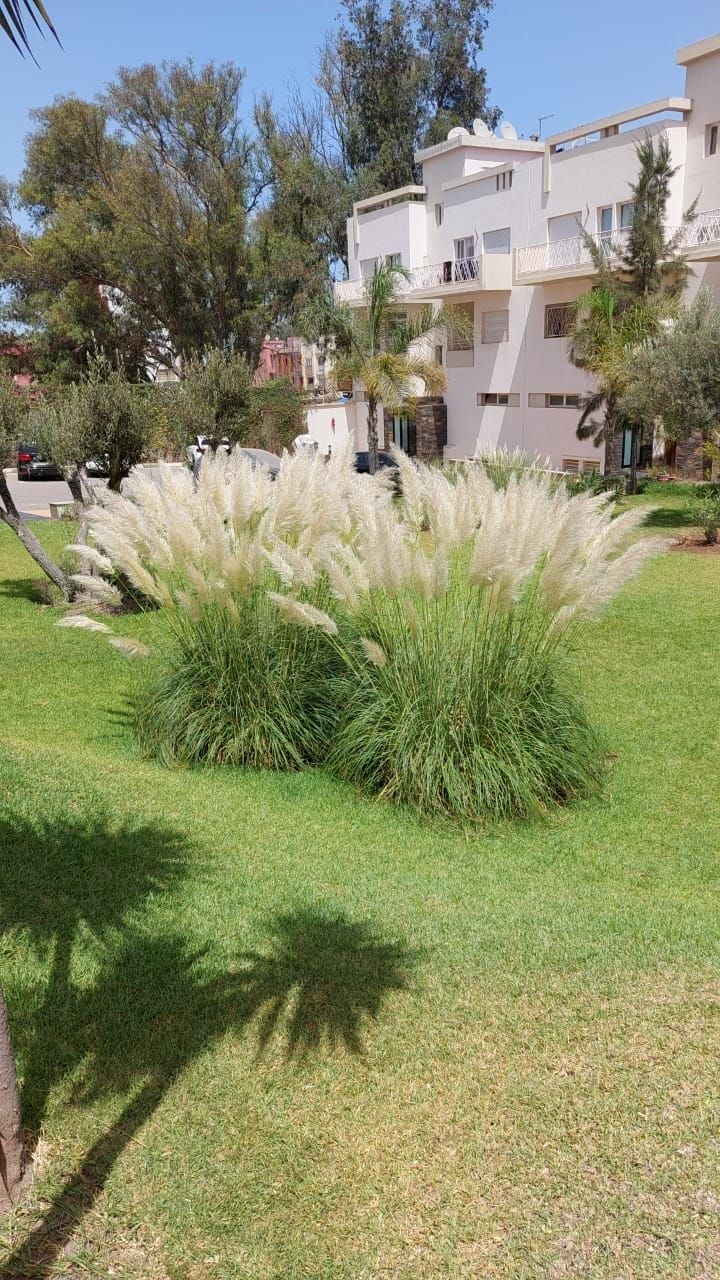 Appartement — Bouskoura