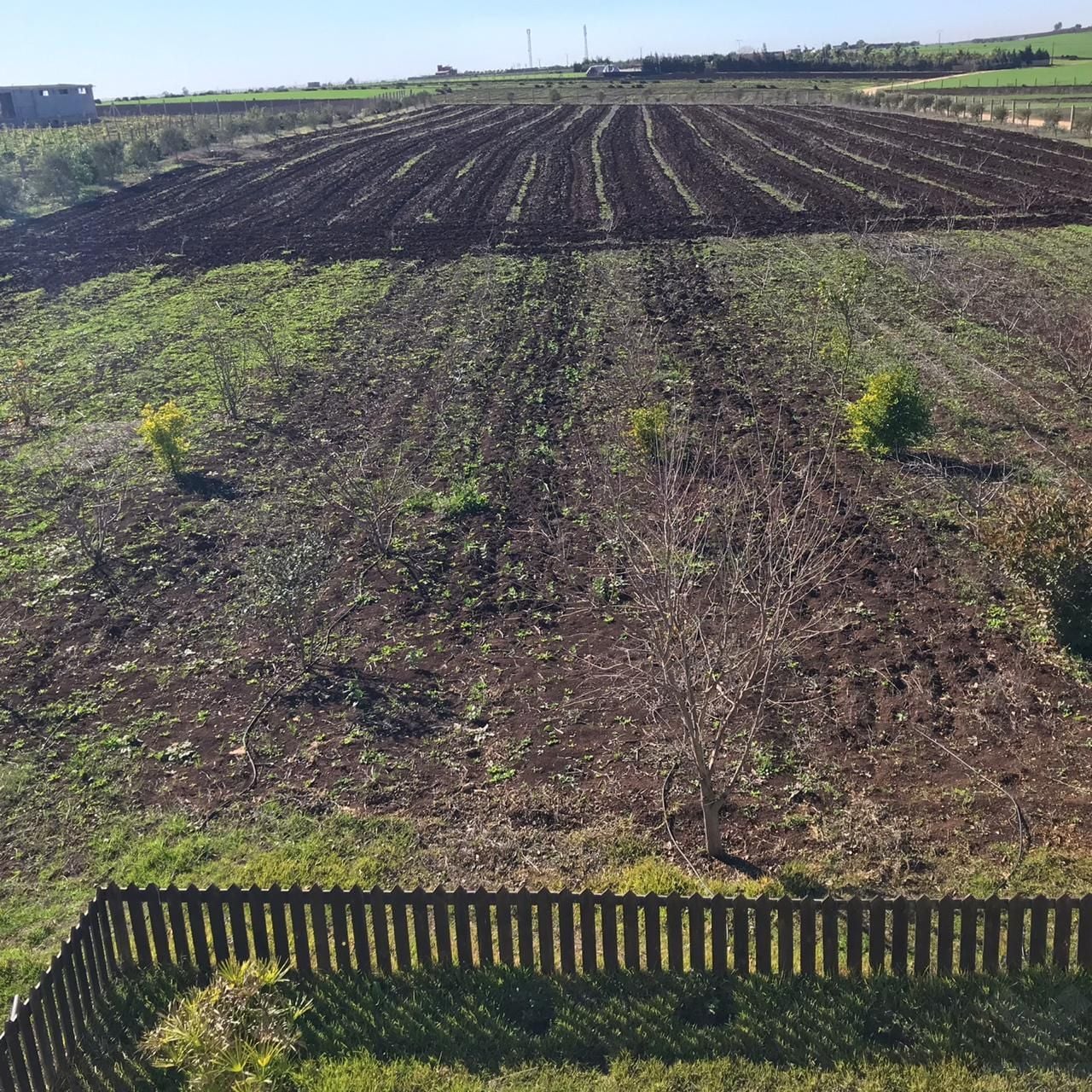 Villa 10000 m² à  — 17