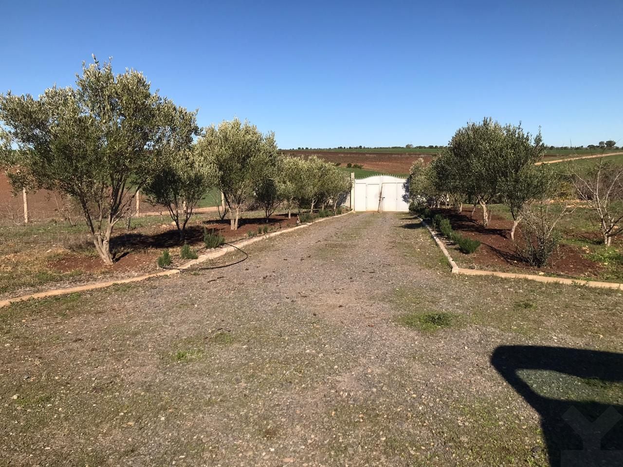 Villa 10000 m² à  — 14