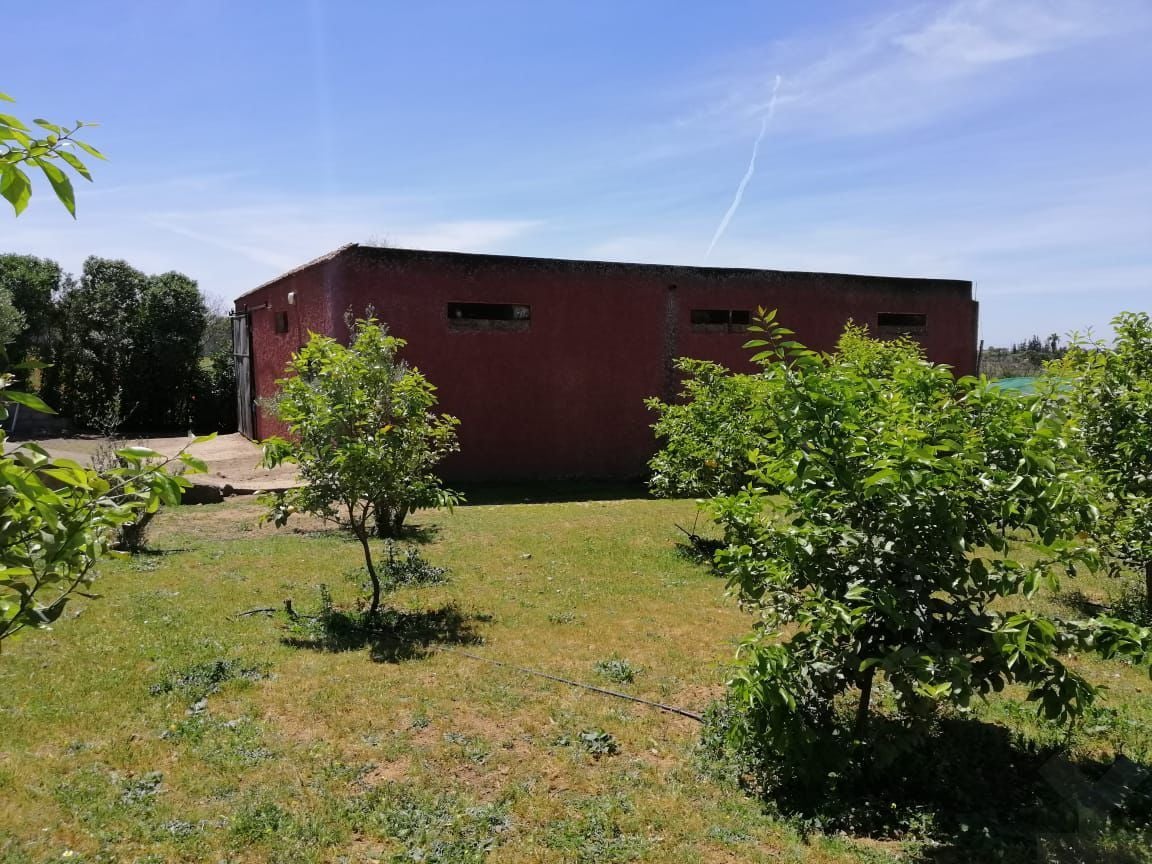 Terrain — Benslimane — 5