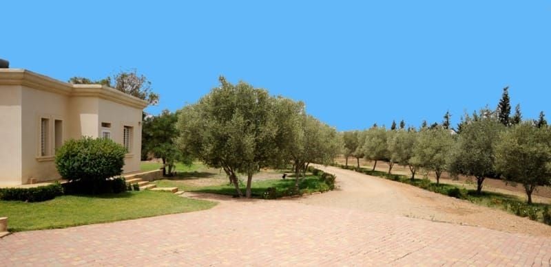 Villa 500 m² à Bouskoura — 9