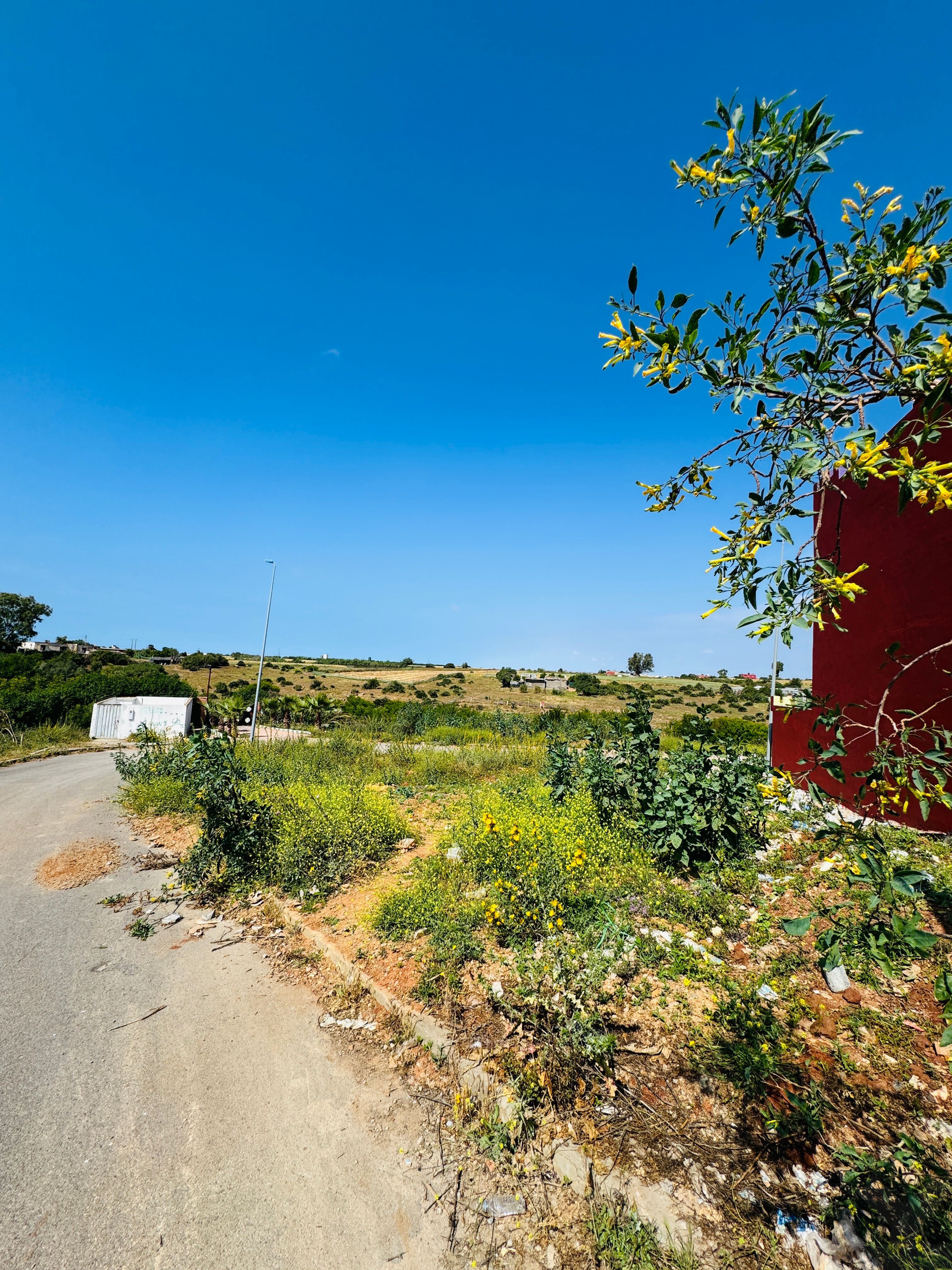 Terrain 316 m² f El Kheir — 11