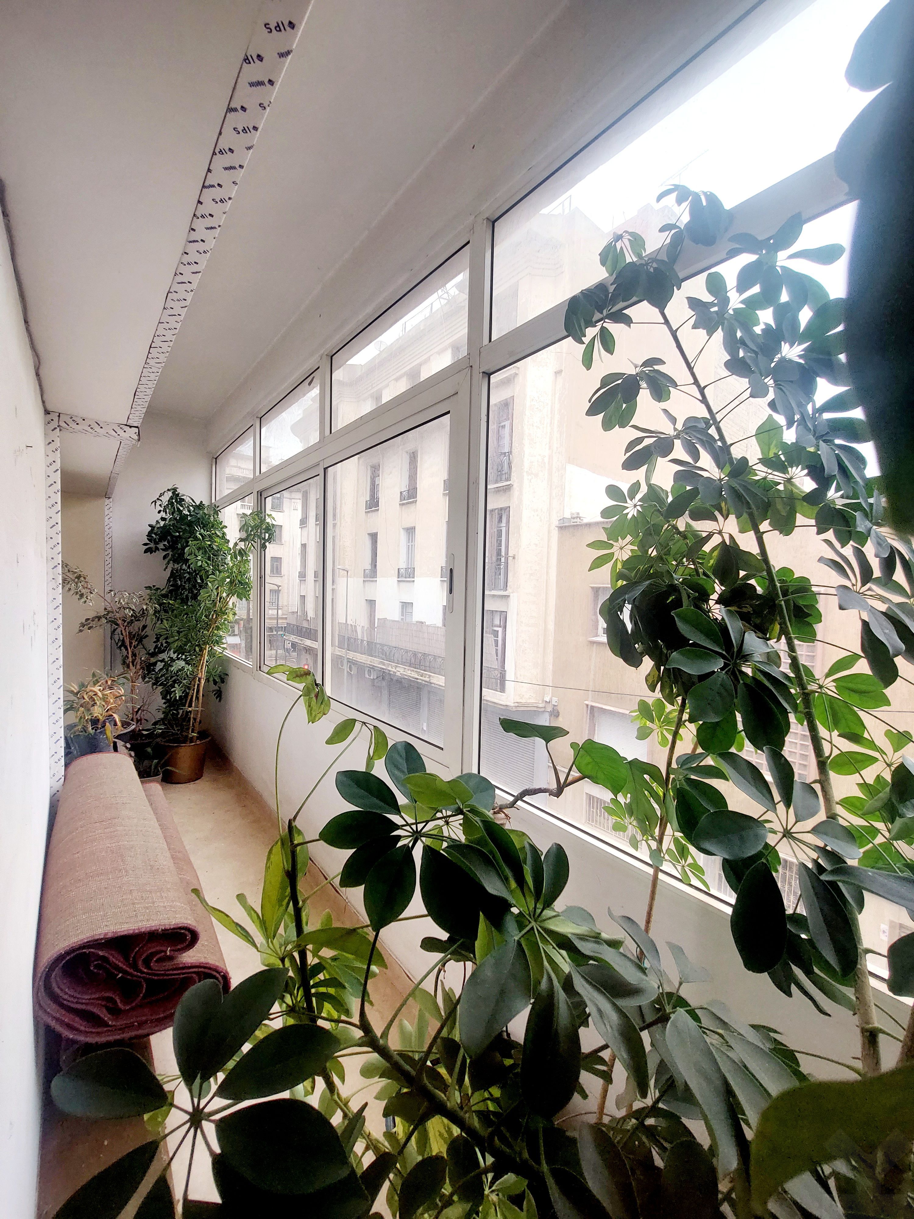Appartement 146 m² f Liberte — 8