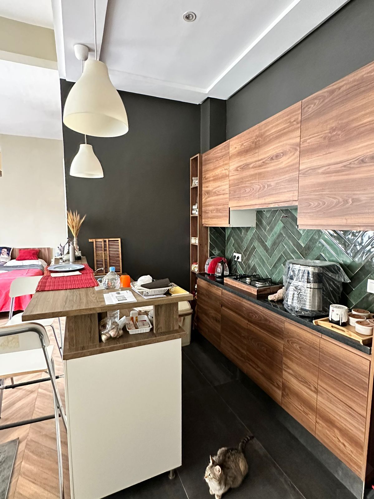 Appartement 206 m² à Alsace Loraine — 9